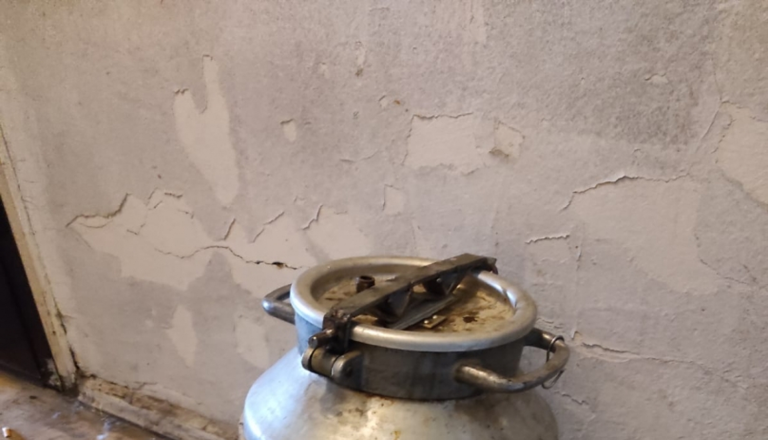 nelegālais alkohols