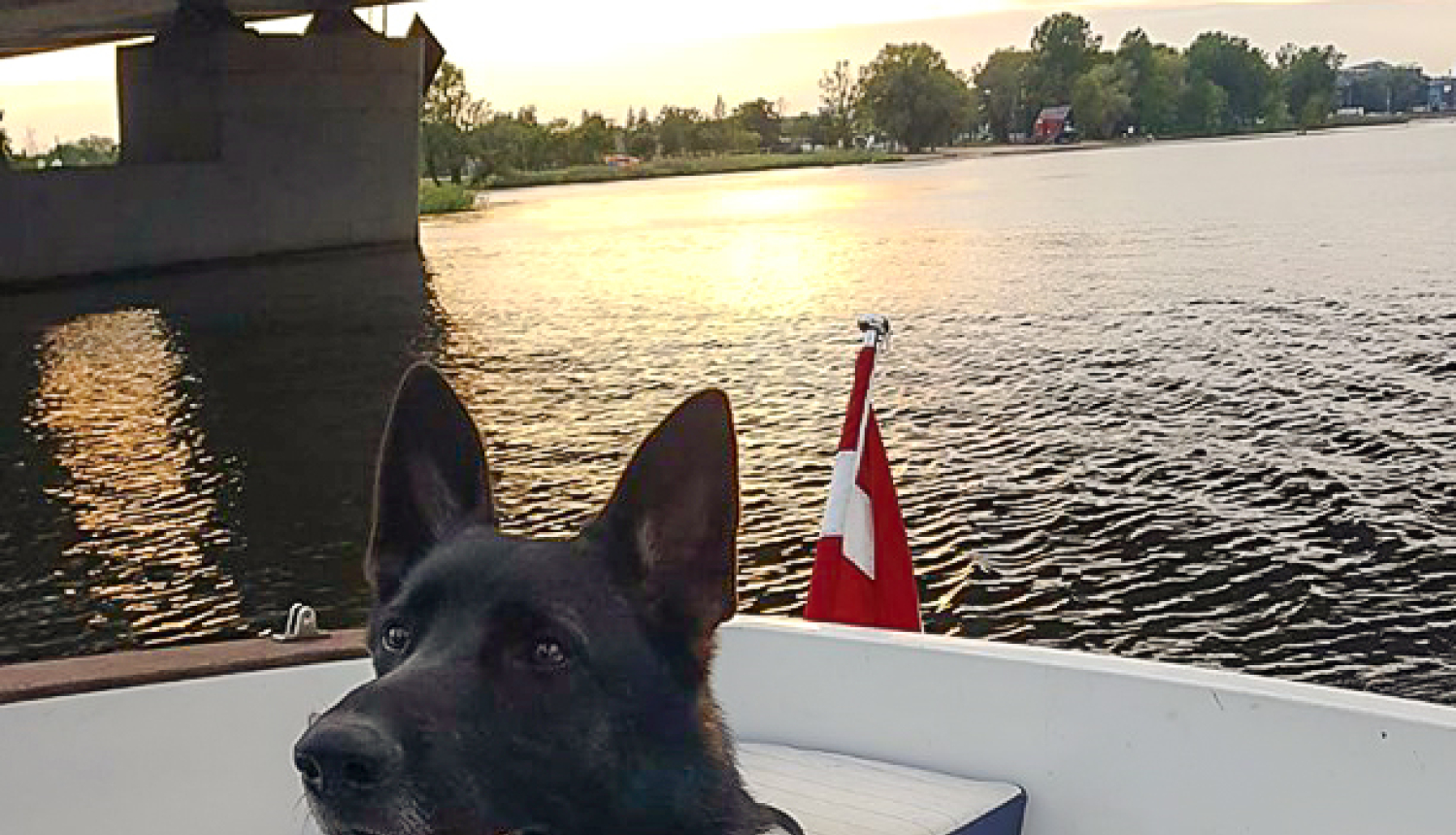 Policisti aiztur Ilūkstes ielas narkotiku tirgotāju; dienesta suns Vatsons atrod narkotikas