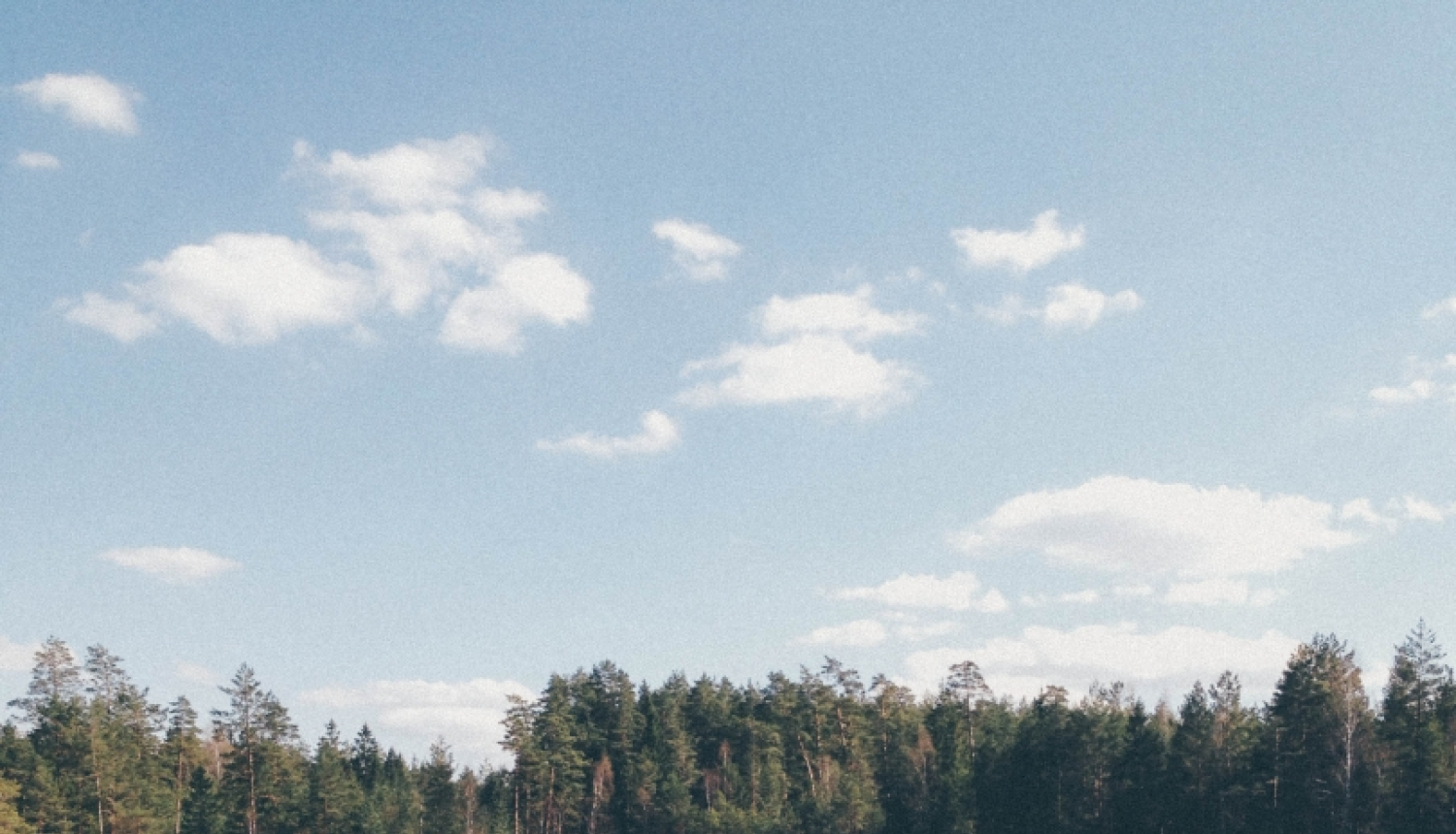 Trīs mazgadīgi bērni guļ uz koka laipiņas, kas atrodas ezerā. Otrā ezera krastā redzams mežs.