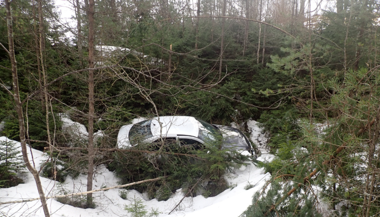 Pelēka automašīna avarējusi starp eglēm un priedēm sniega pilnā grāvī