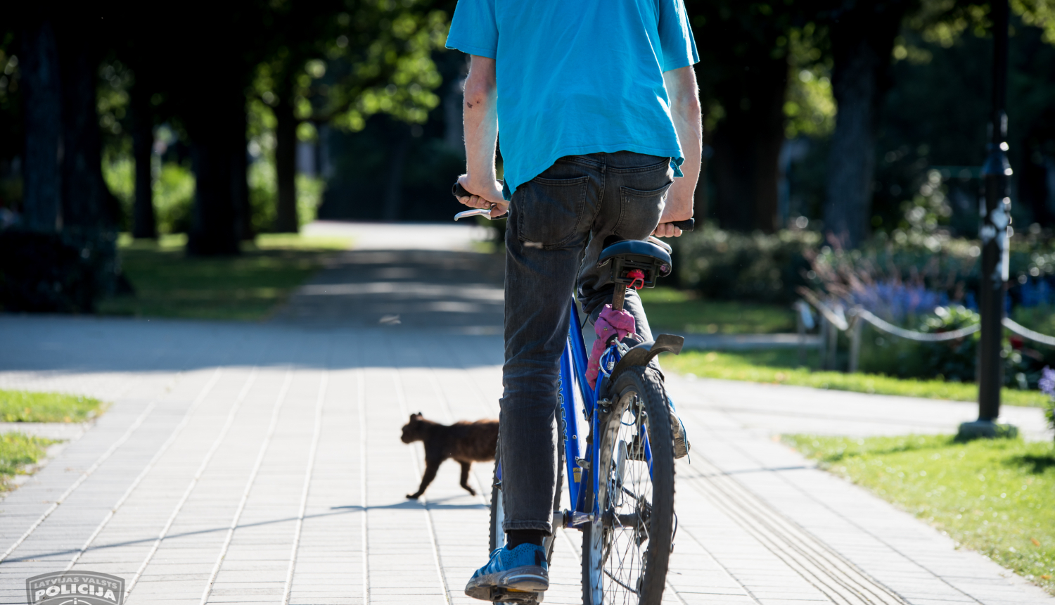 velosipēds piedalās satiksmē
