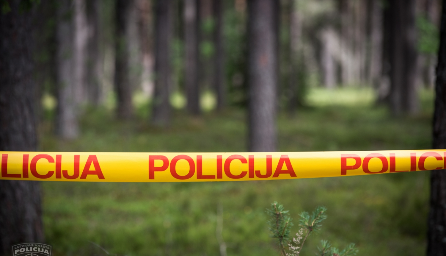 policijas lenta mežā