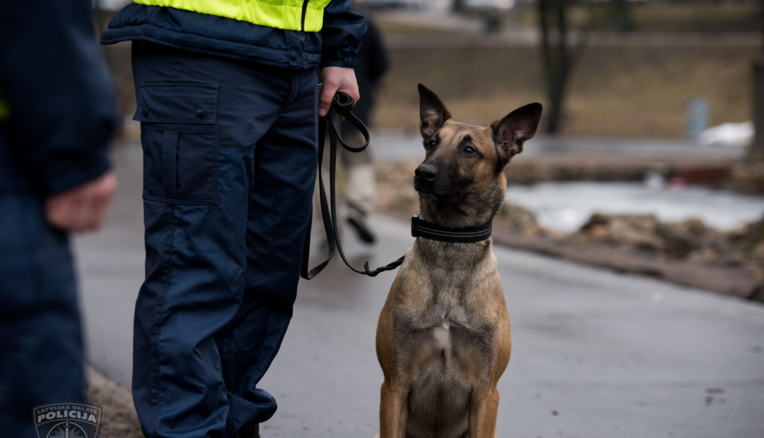 Policists, kuram pie kājām sēž suns