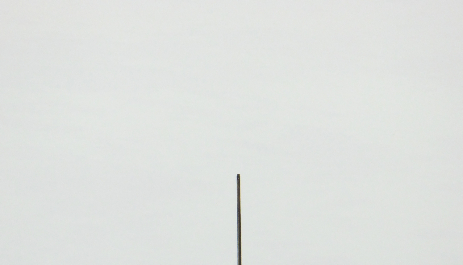 Melna koka laiva ūdenī