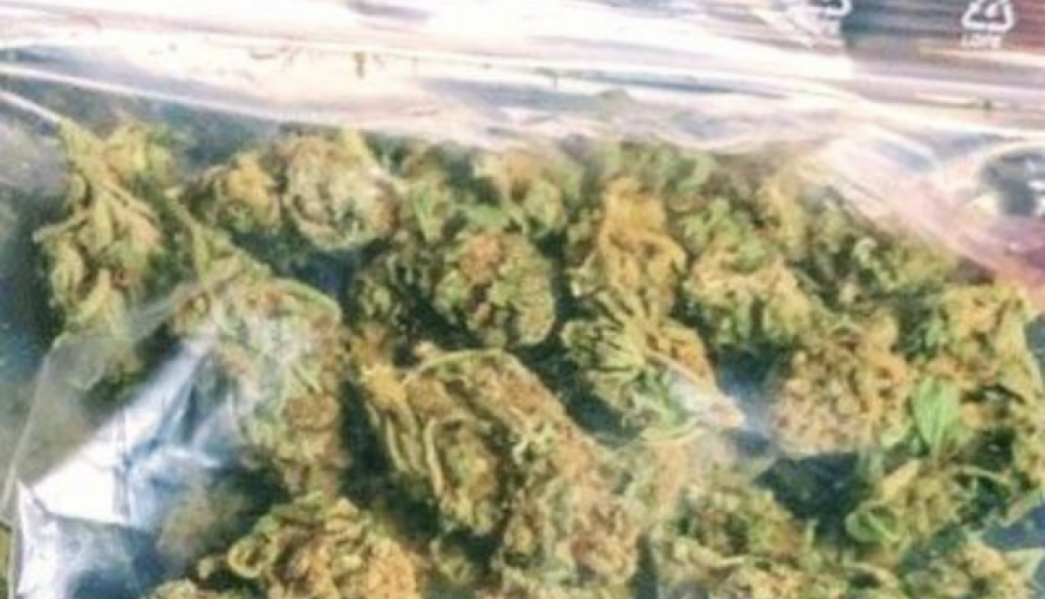 Zaļganbrūnas krāsas augu valsts izcelsmes viela caurspīdīgā plastikāta maisiņā