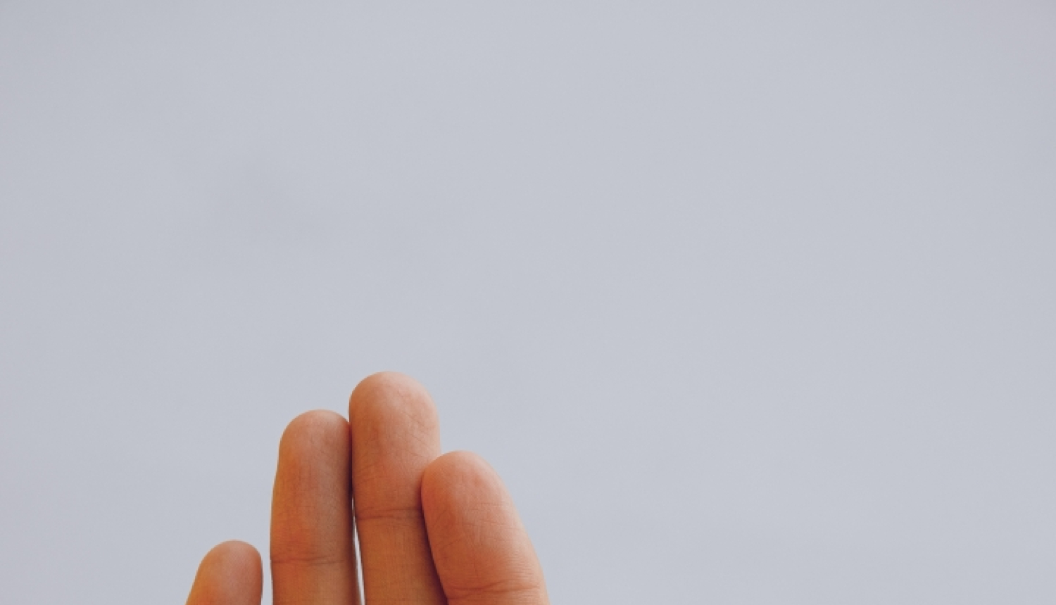 Maza bērna plauksta ielikta pieauguša cilvēka plaukstā