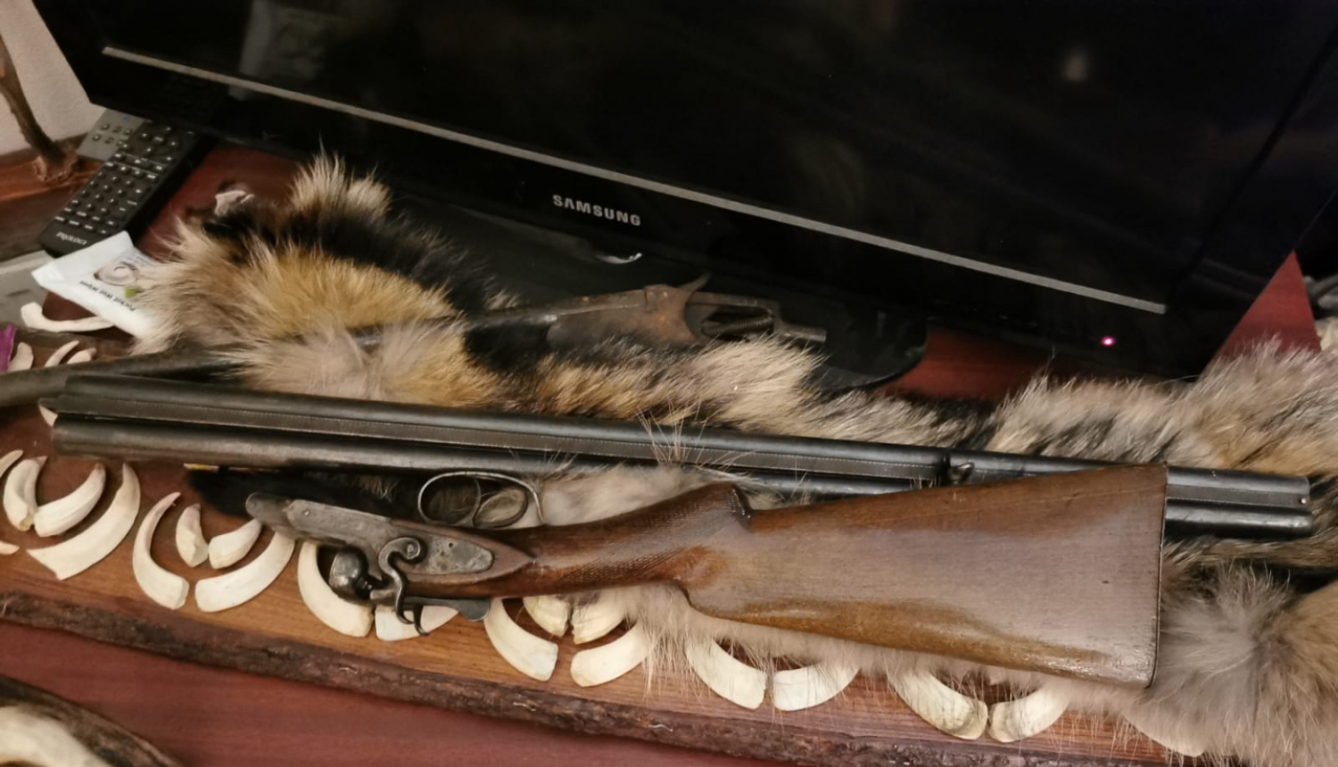 Kratīšanas laikā izņemtā bise