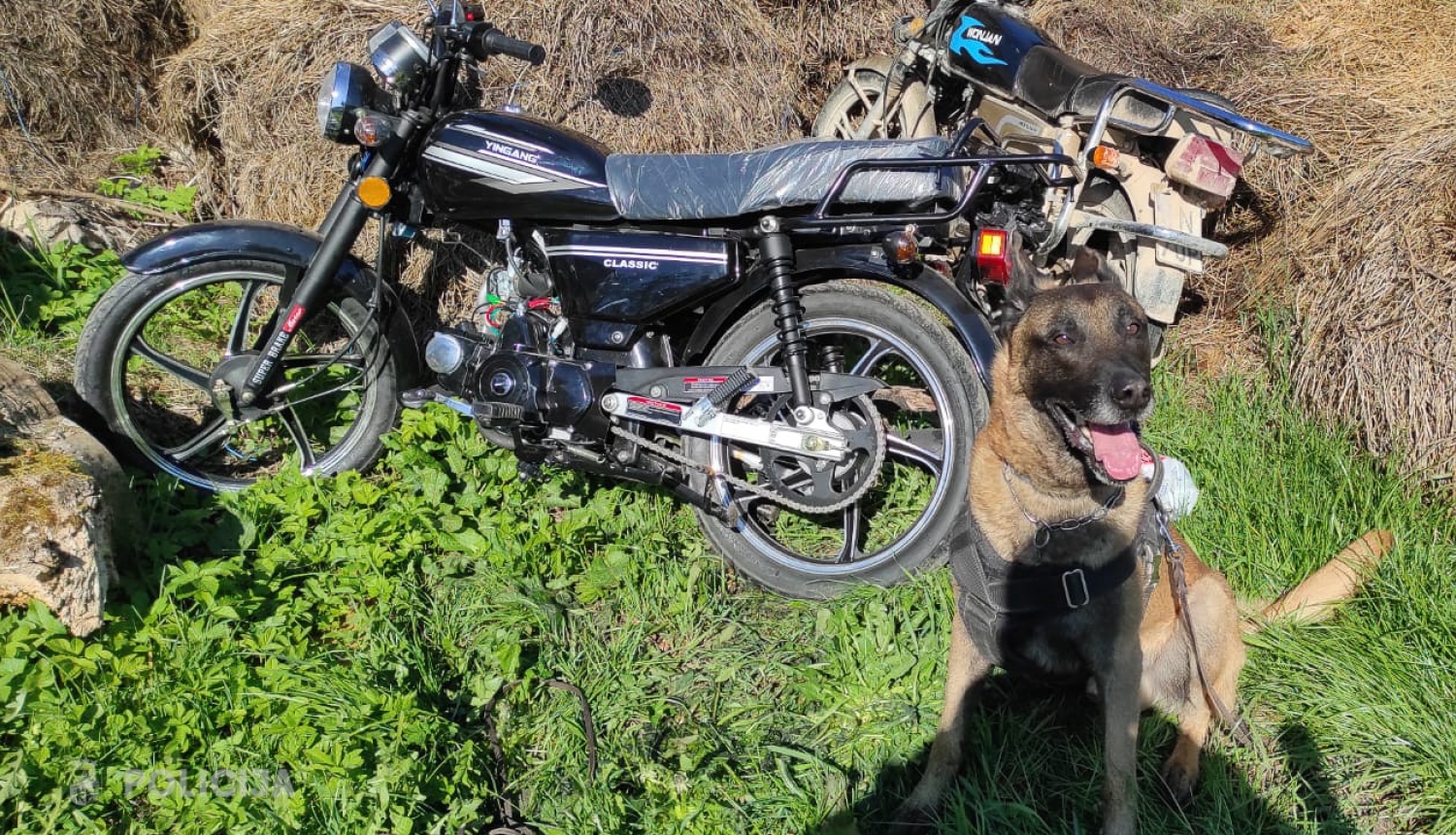 Valsts policija ar dienesta suni Marko pa karstām pēdām aiztur zagļus un atgūst zagtās mantas