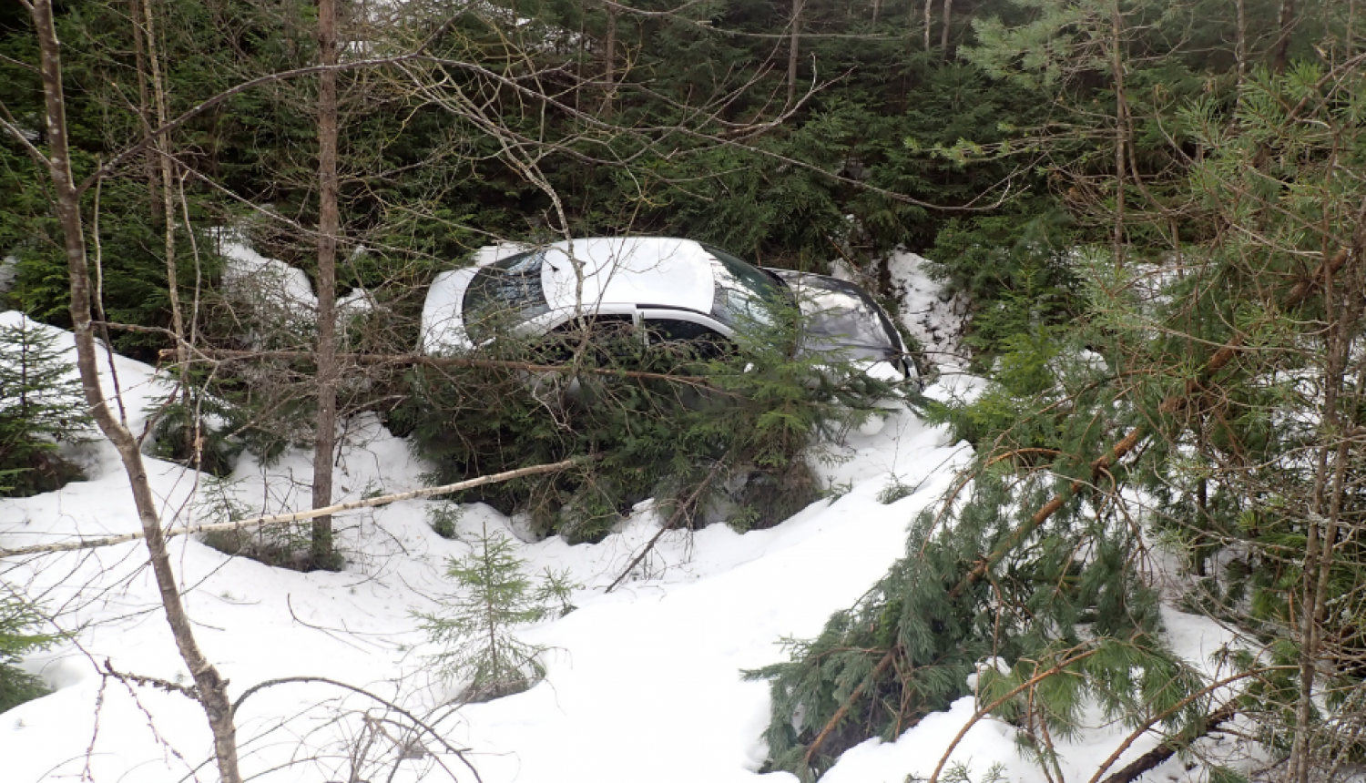 Pelēka automašīna avarējusi starp eglēm un priedēm sniega pilnā grāvī