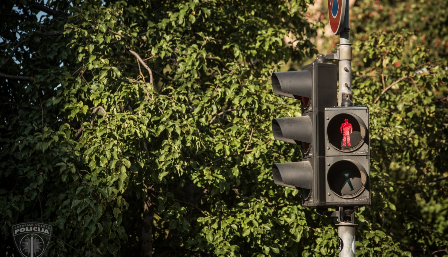 Luksofors, kurā redzams gājējiem sarkanais aizliedzošais signāls, fonā koks ar zaļām lapām