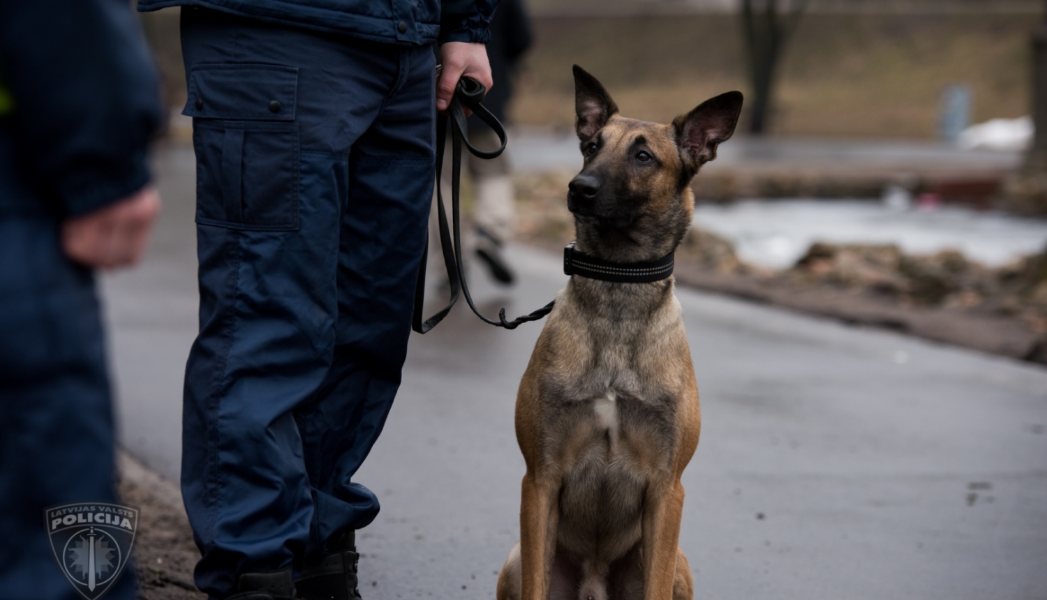 Policists, kuram pie kājām sēž suns
